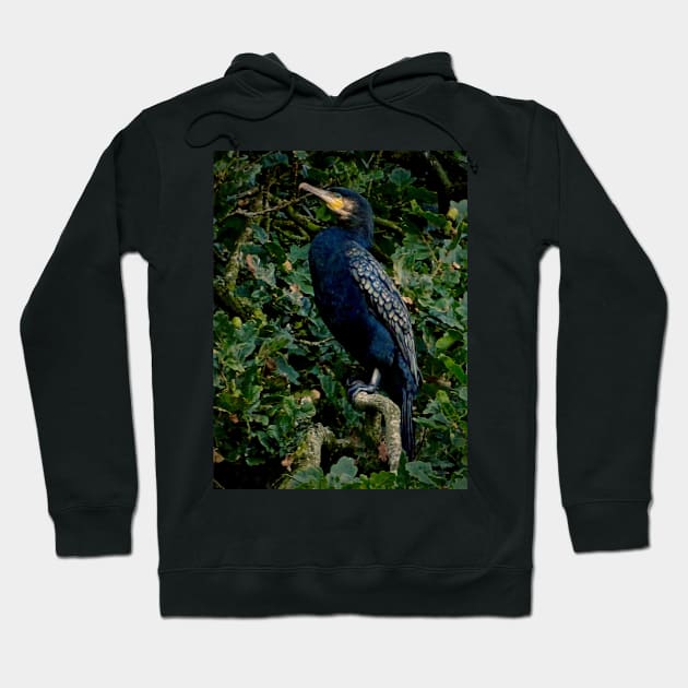 OAKEY COKEY CORMORANT Hoodie by dumbodancer